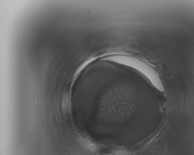 X0000080110200200612221813