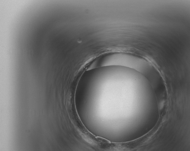 X0000080110201200612221813