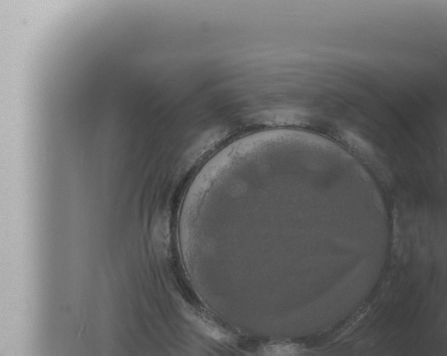 X0000080110202200612221813