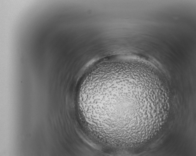 X0000080110203200612221813