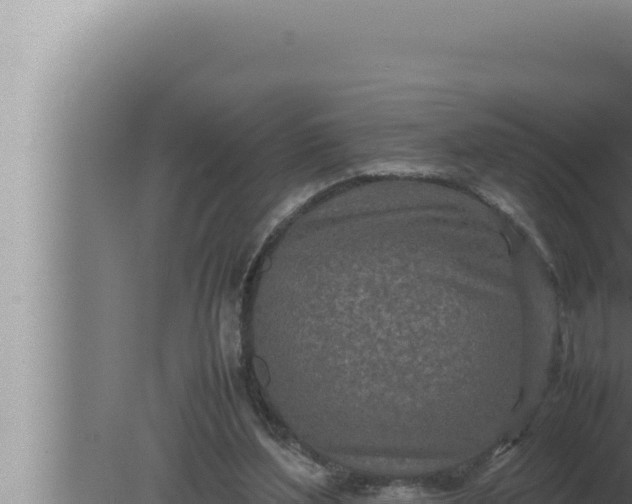 X0000080110204200612221813