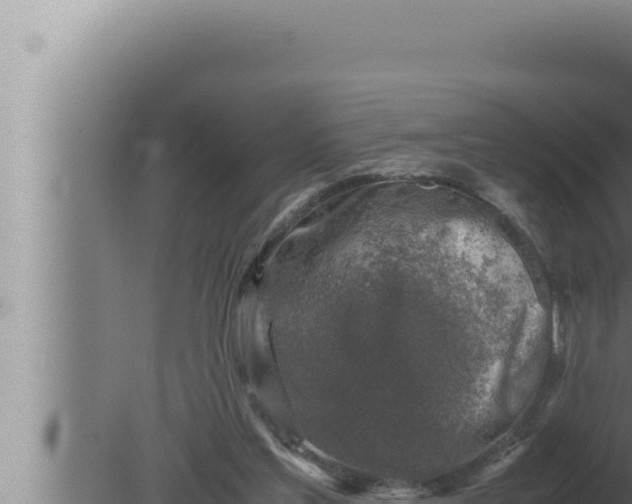 X0000080110205200612221813