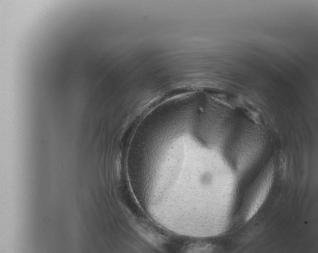 X0000080110206200612221813