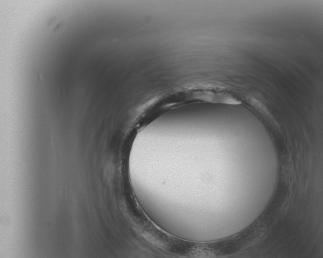 X0000080110207200612221813