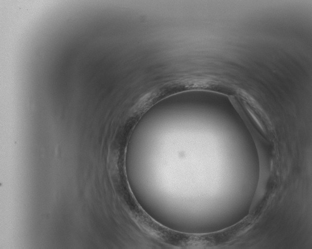 X0000080110209200612221813