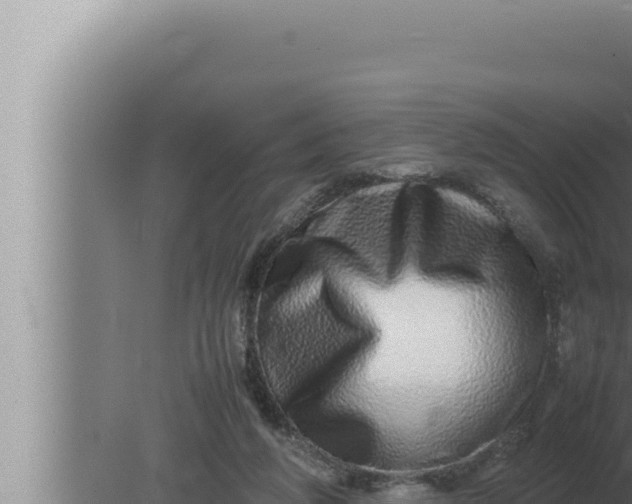 X0000080110210200612221813