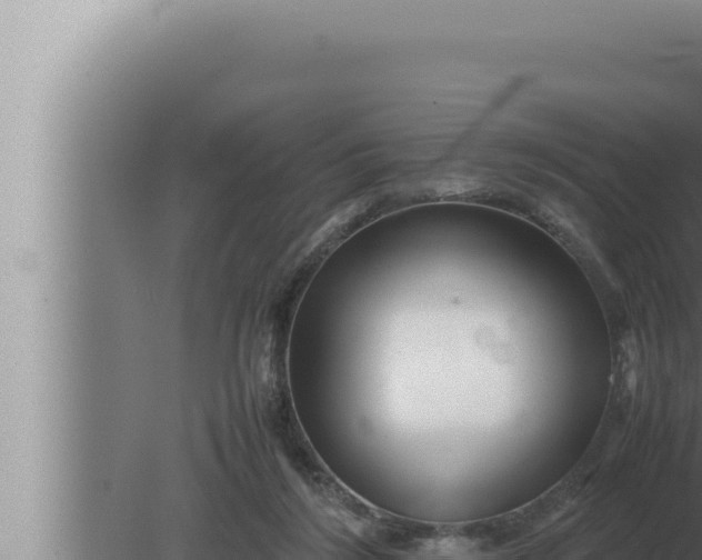 X0000080110212200612221813