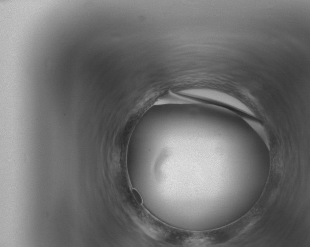 X0000080110213200612221813