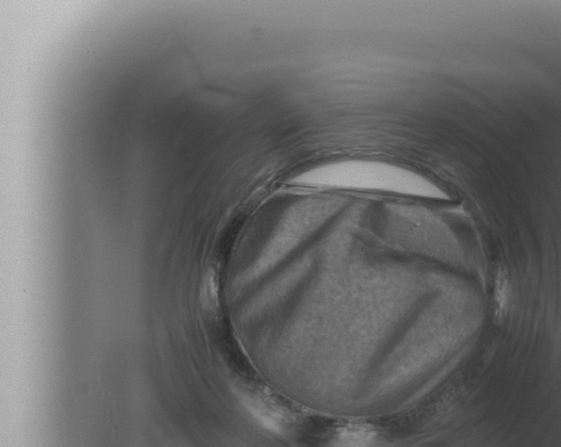 X0000080110214200612221813