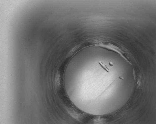 X0000080110216200612221813