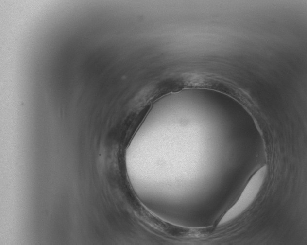 X0000080110217200612221813