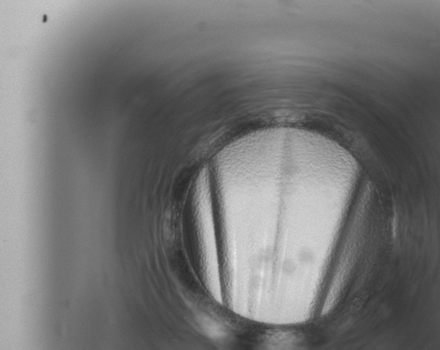 X0000080110218200612221813