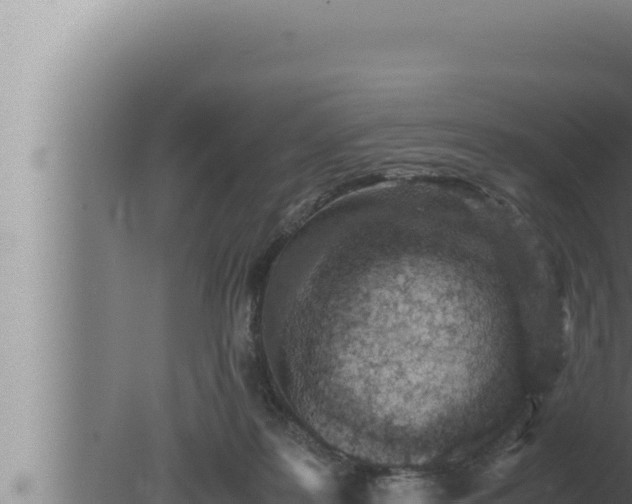 X0000080110219200612221813