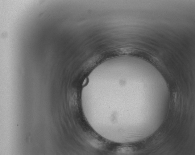 X0000080110220200612221813