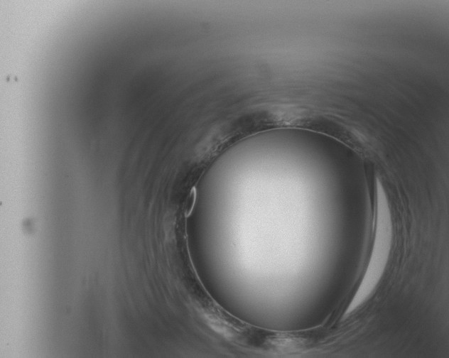 X0000080110221200612221813