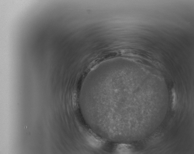 X0000080110222200612221813