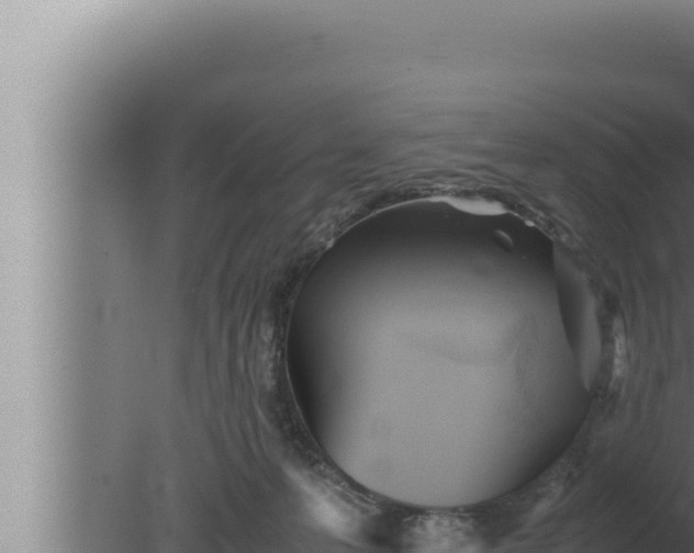 X0000080110223200612221813