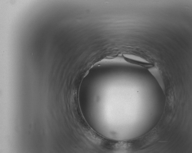 X0000080110225200612221813