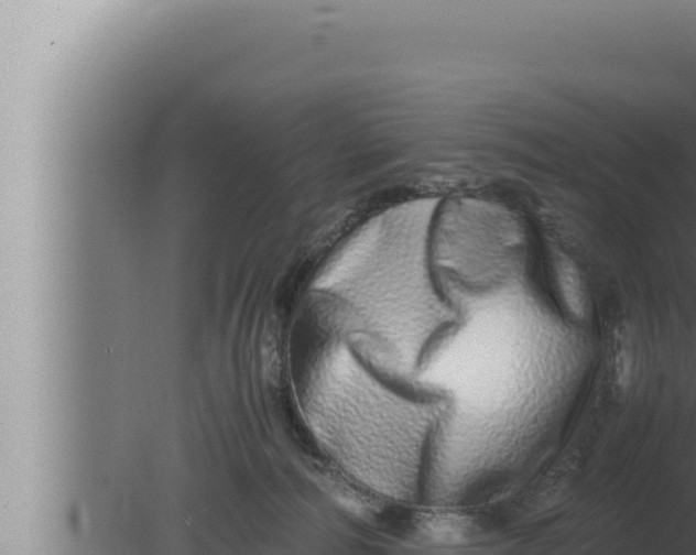 X0000080110226200612221813