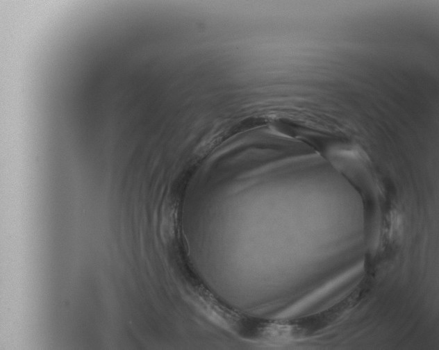 X0000080110227200612221813