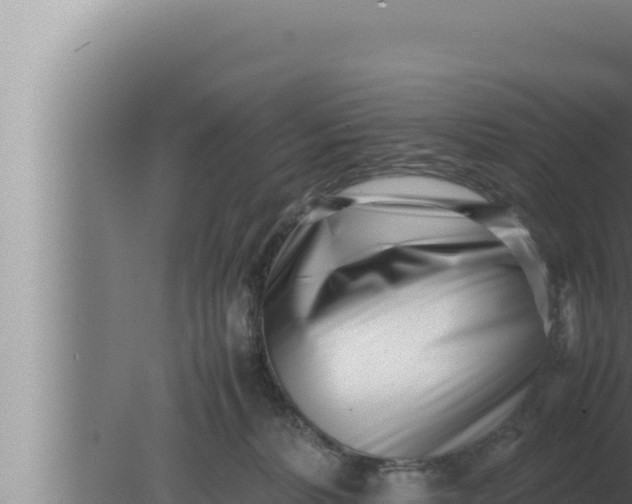 X0000080110228200612221813