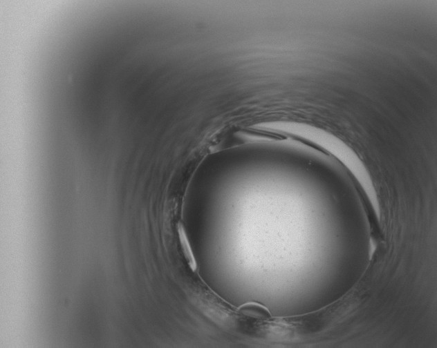 X0000080110229200612221813