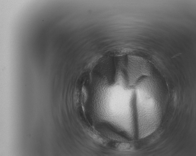 X0000080110230200612221813