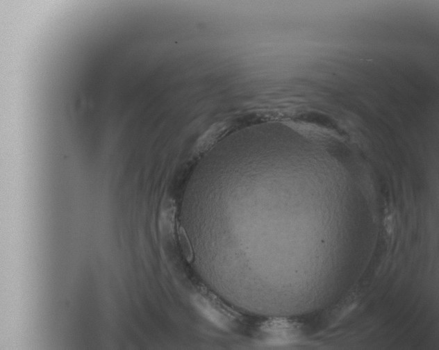 X0000080110231200612221813