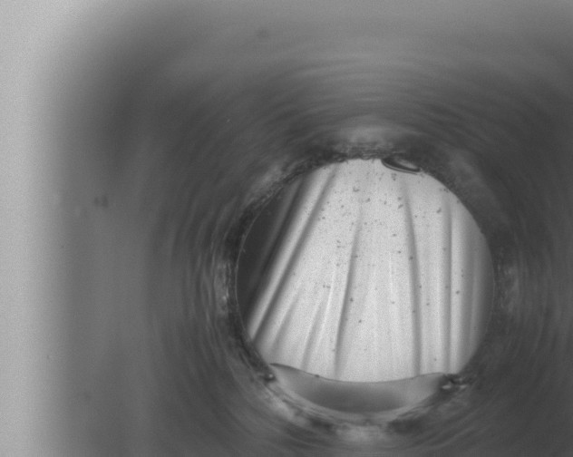 X0000080110232200612221813