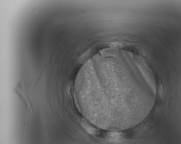 X0000080110233200612221813