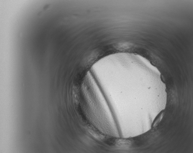 X0000080110234200612221813