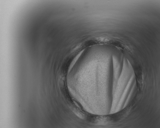 X0000080110235200612221813