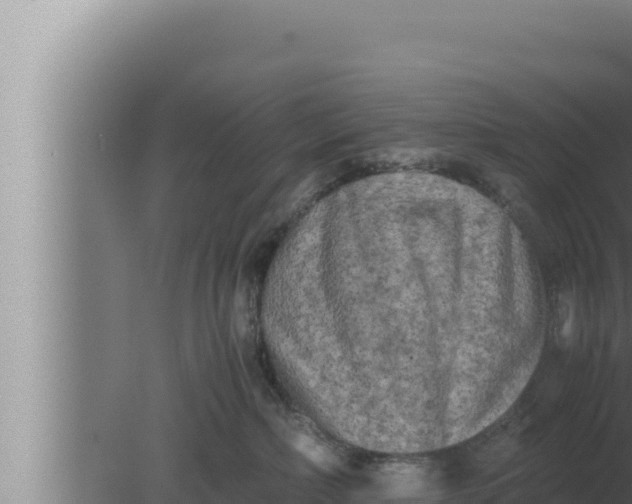 X0000080110236200612221813