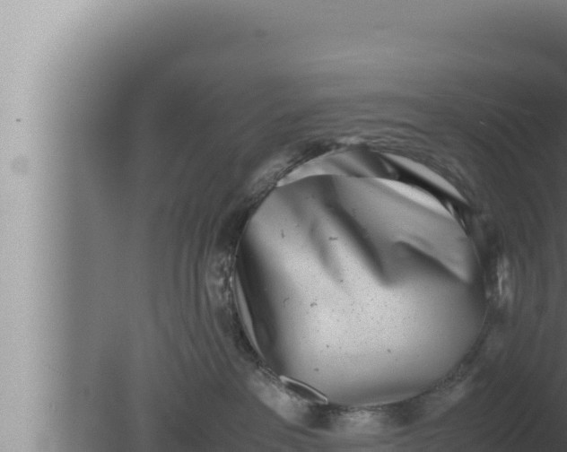 X0000080110237200612221813