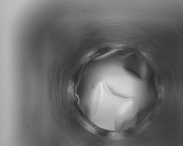 X0000080110238200612221813