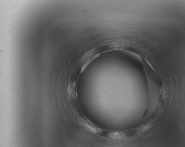 X0000080110239200612221813