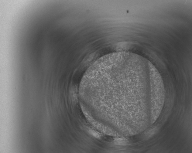 X0000080110240200612221813