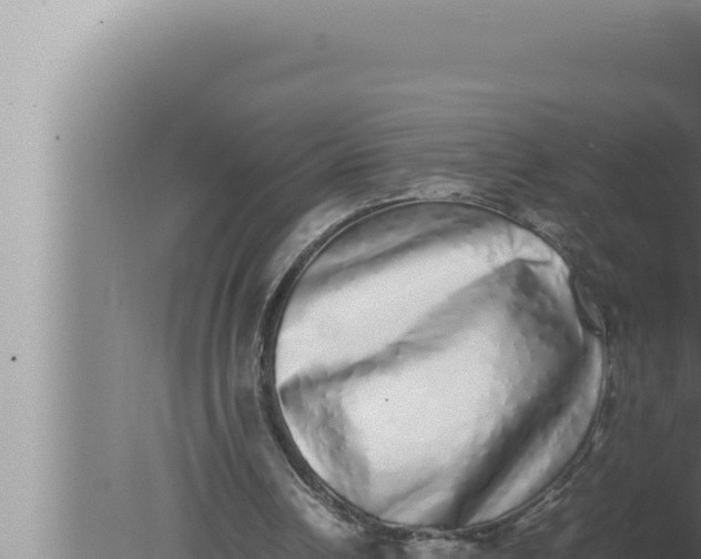 X0000080110242200612221812