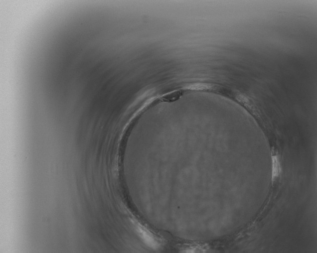 X0000080110243200612221812