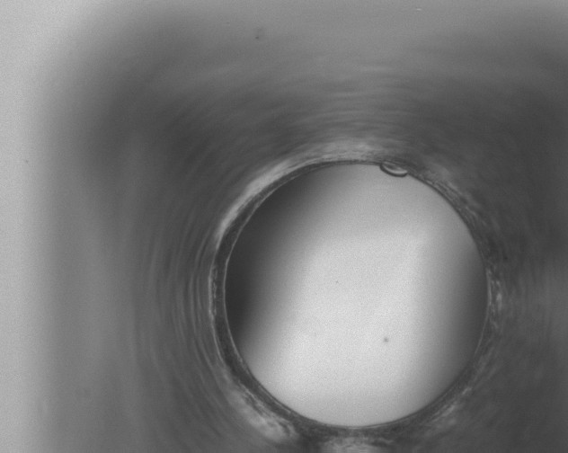 X0000080110244200612221812