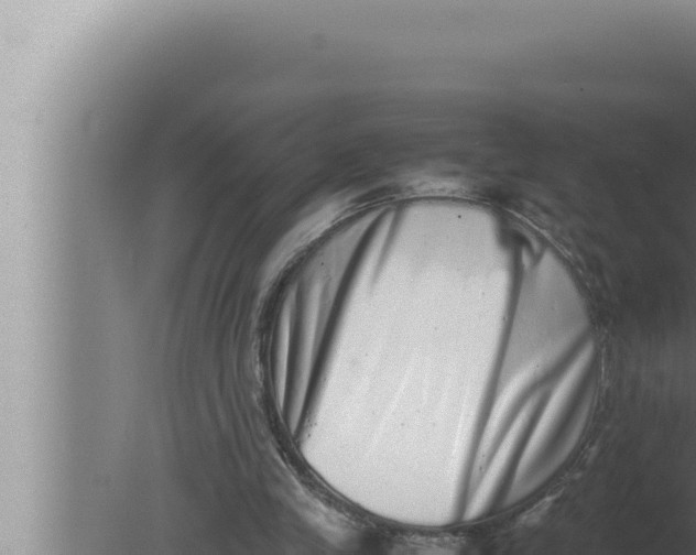 X0000080110245200612221812