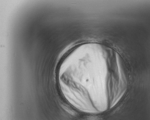 X0000080110246200612221812