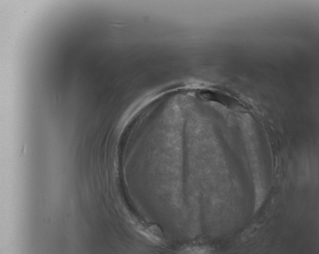 X0000080110247200612221812