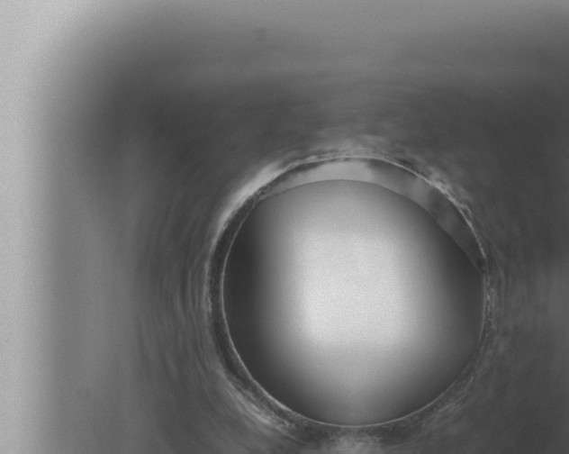 X0000080110248200612221812