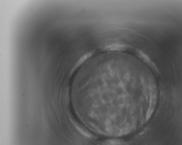 X0000080110250200612221812