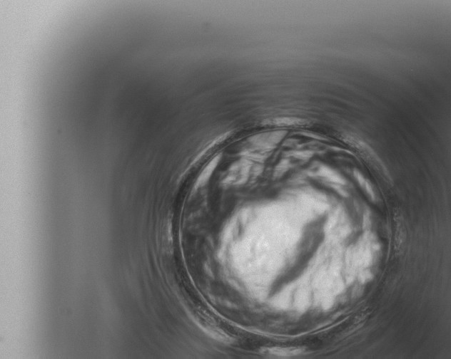 X0000080110251200612221812