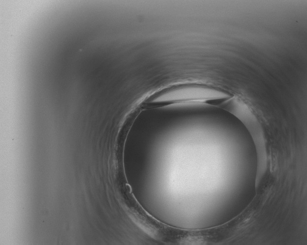 X0000080110252200612221812