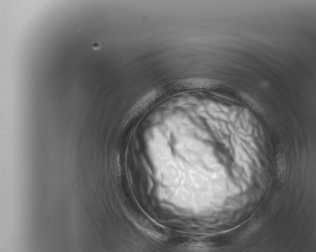 X0000080110254200612221812