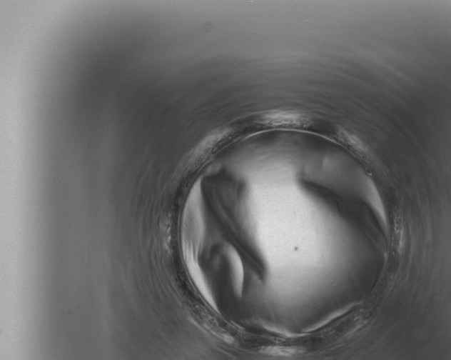 X0000080110255200612221812