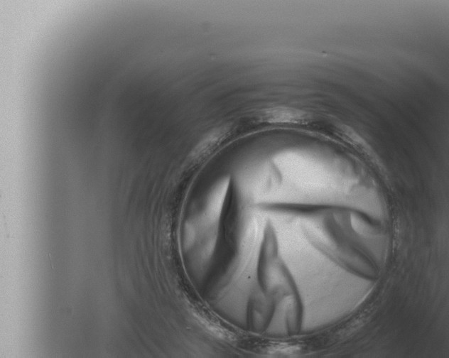 X0000080110257200612221812